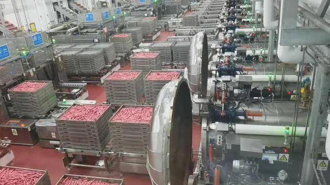 城养出全球最大猪肉巨头pg电子试玩河南一座小(图11)