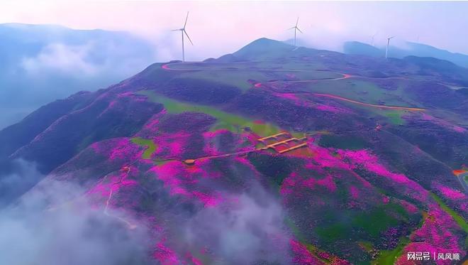 同时吃进宠物龙头社保新近2个被套牢pg电子游戏网站周末最新社